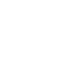 Integrated Solar Storage and Charging Solutions Icon